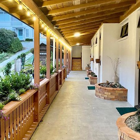 The Swiss Chalet Holiday Apartment 5, Bay Of Islands 派西亚 外观 照片